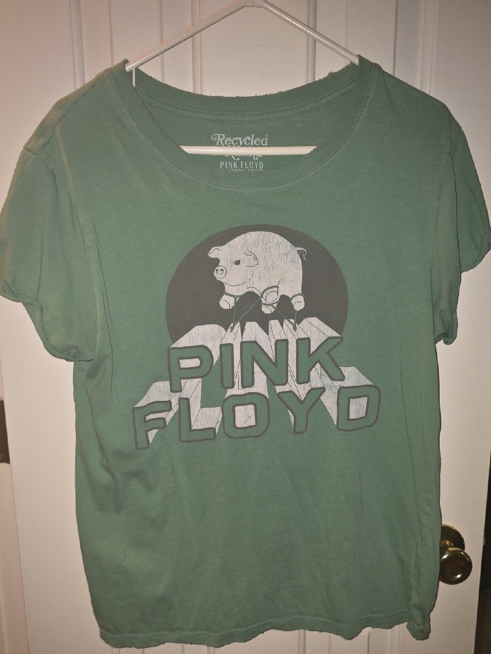 Pink Floyd Sage Green Graphic Tee with Pig Logo